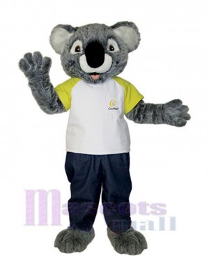 Koala costume de mascotte