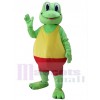 Grenouille costume de mascotte