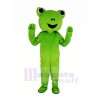 vert Grenouille Mascotte Costume