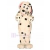 Chien costume de mascotte