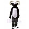 RAM costume de mascotte