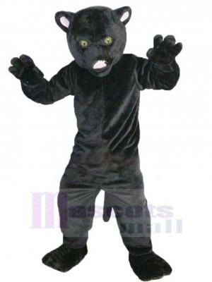Chat noir drôle Déguisement Mascotte Animal Adulte
