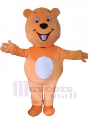 Dessin animé ours orange Mascotte Costume Pour adultes Têtes de mascotte